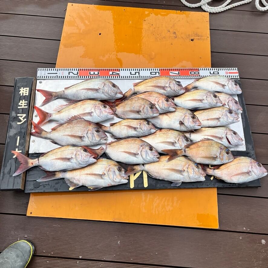 小豆島の釣果！タイ釣り上げ